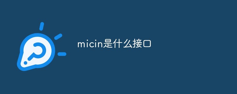 micin是什么接口？