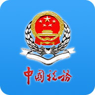 重庆税务app