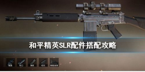 和平精英SLR配件推荐_SLR步枪配件怎么搭配？