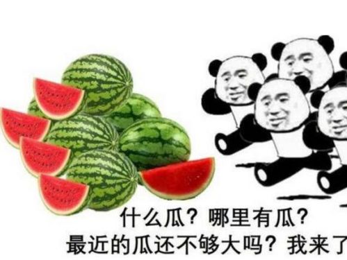 开年第一瓜--小游戏《合成大西瓜》你玩了吗