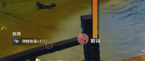 妄想山海锦鲤鱼苗获得方法-锦鲤坐骑怎么得