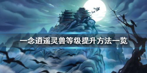 一念逍遥灵兽等级提升方法-灵兽怎么提升等级？