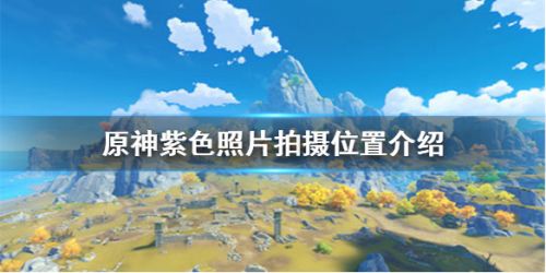 原神紫色照片在里哪拍？原神紫色照片拍摄位置分享