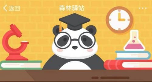 森林驿站2月3日答案-翠鸟通常在什么地方筑巢