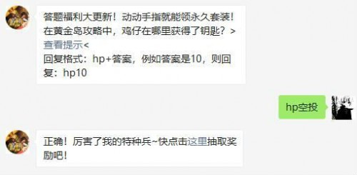 在黄金岛攻略中鸡仔在哪里获得了钥匙