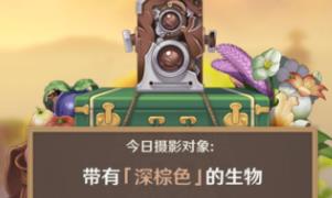 原神深棕色生物在哪拍照-原神深棕色生物全拍照地点