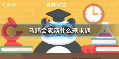 乌鸦求偶会？微博森林驿站2月16日答案分享