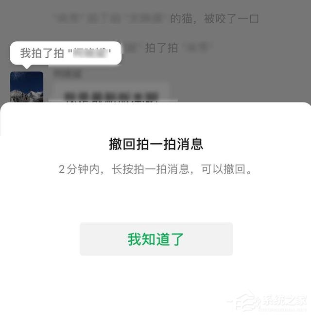 微信拍一拍可以撤回了