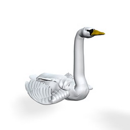 Swan