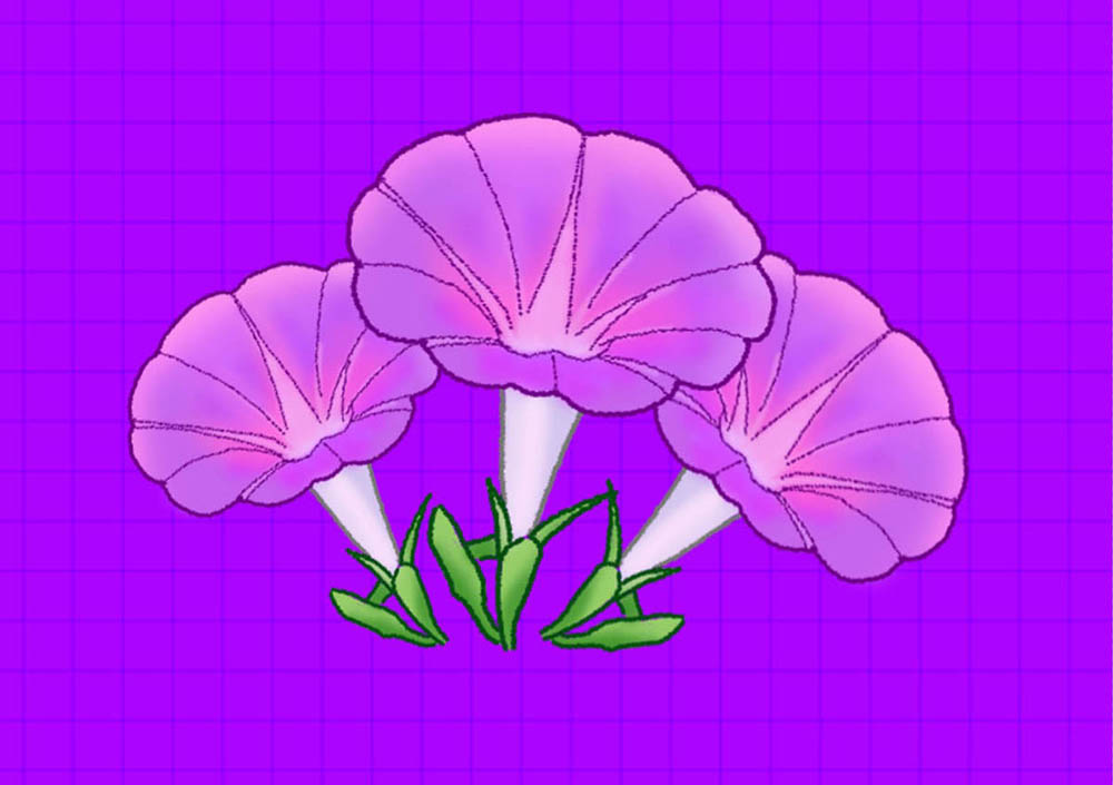 PS如何手绘牵牛花插画