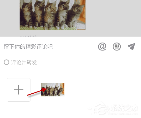 抖音猫咪摇头蹦迪表情包怎么发