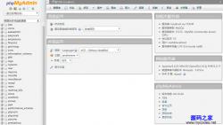 phpMyAdmin 4.9.7 中文版