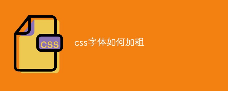 css字体如何加粗