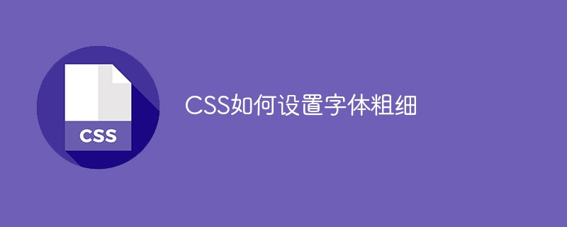 CSS如何设置字体粗细