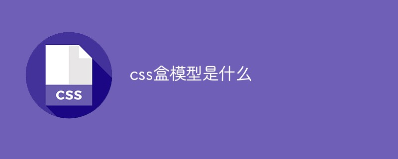 css盒模型是什么