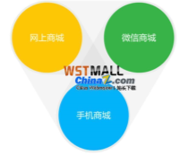 WSTMall