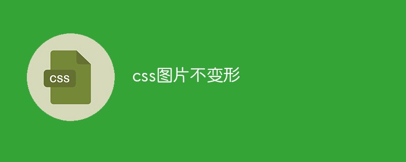 css怎么让图片不变形