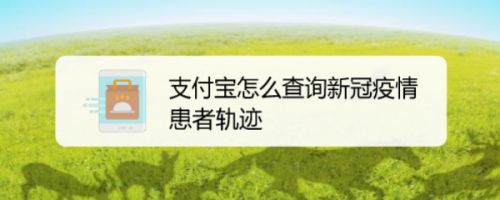 支付宝新冠确诊患者轨迹怎么查? 查询新冠疫情患者轨迹的技巧