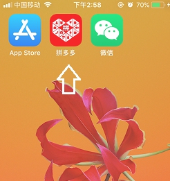 拼多多如何提升省钱月卡活跃度?