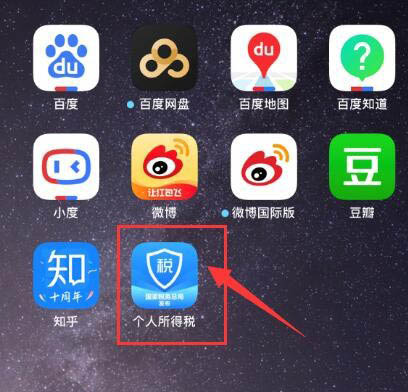人所得税APP怎么查询2020年度个人收入纳税明细?