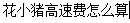 花小猪打车app怎么算高速费? 花小猪计费规则的详细介绍