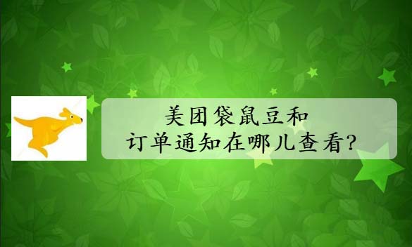 美团袋鼠豆怎么查看? 美团袋鼠豆的查看方法
