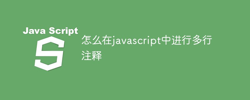 怎么在javascript中进行多行注释