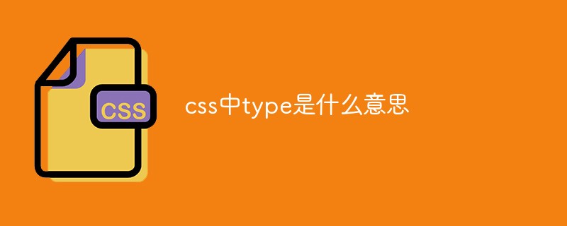 css中type是什么意思