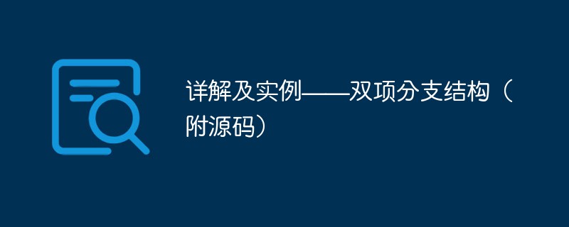 详解及实例——双项分支结构（附源码）