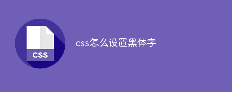 css怎么设置黑体字