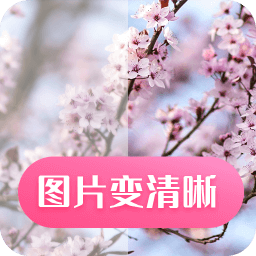 科想照片修复app