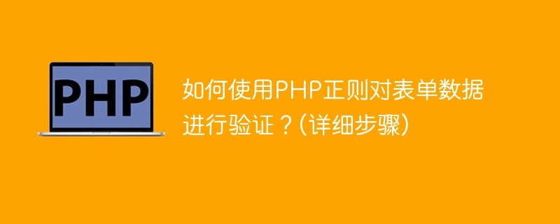 如何使用PHP正则对表单数据进行验证？(详细步骤)