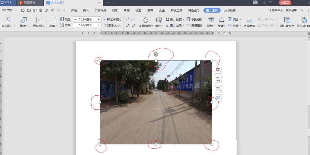 WPS2019图片怎么添加题注? wps题注的设置方法