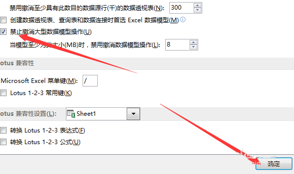 Execl2013怎么设置禁止撤销大型数据模型操作?