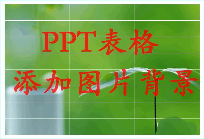 ppt表格怎么插入背景图片? ppt插背景图的教程