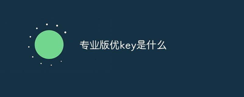 专业版优key是什么