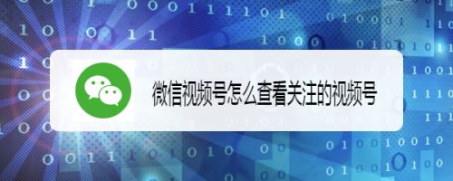 微信视频号怎么查看关注？微信查看关注的视频号方法