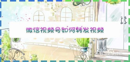 微信视频号怎么转发视频？微信视频号转发视频教程