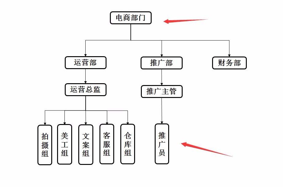 ppt怎么画一个电商部门结构图?
