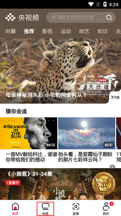 央视频可以回看吗 央视频app看回放教程