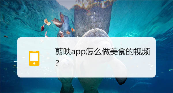 剪映app美食视频怎么剪辑? 剪映制作美食视频的技巧
