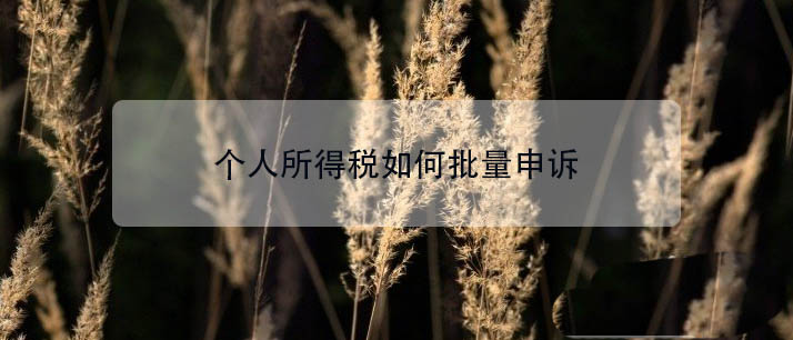 个人所得税app怎么申诉? 个税批量申诉的技巧