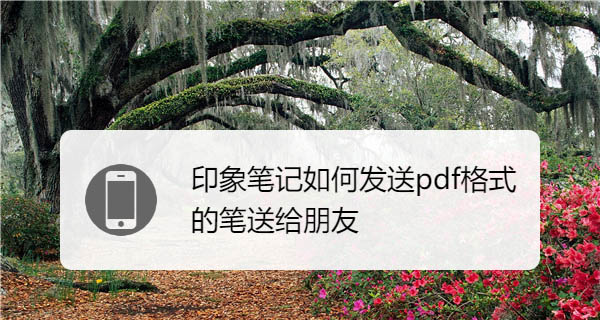印象笔记怎么给朋友发pdf格式笔? 印象笔记导出pdf的技巧