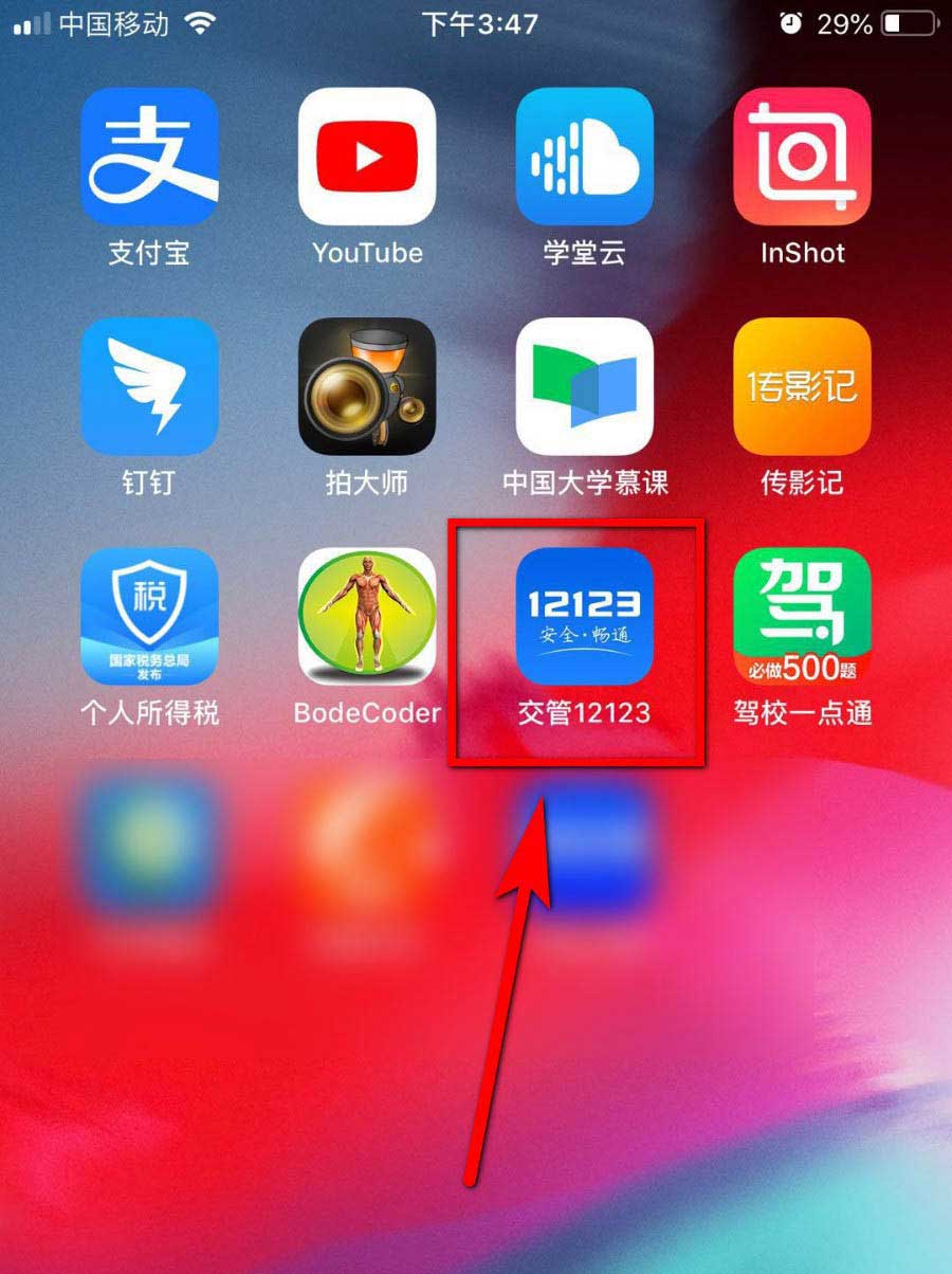 交管12123app怎么交罚款? 交管12123通过处罚编号交罚款的技巧