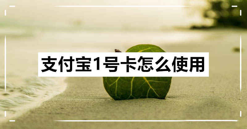 支付宝1号卡购买后怎么使用? 支付宝1号卡的使用方法