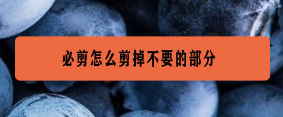 必剪app怎么剪辑视频? 必剪app裁剪视频的技巧