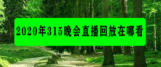 2020央视315晚会回放怎么看?