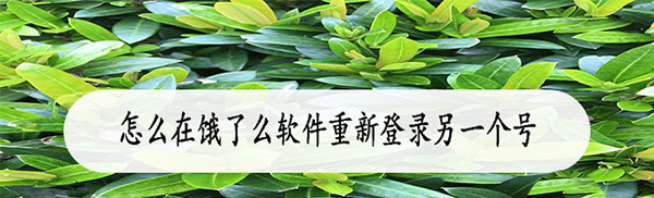 饿了么怎么切换账号? 饿了么app登录登录其他账号的技巧