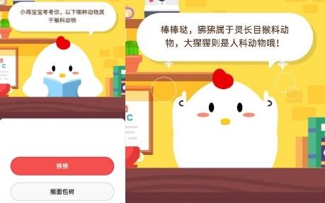 以下哪种动物属于猴科动物 蚂蚁庄园6月21日答案