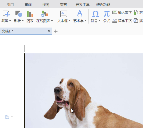 wps怎么让插入的图片可以随意移动?